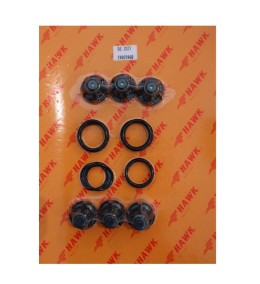 KIT VALVULA COMPLETA XXT 1 x 6 PZS